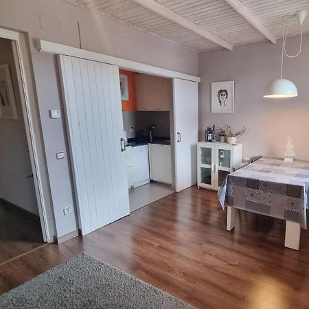 Apartment Sant Francesc Олот Екстер'єр фото