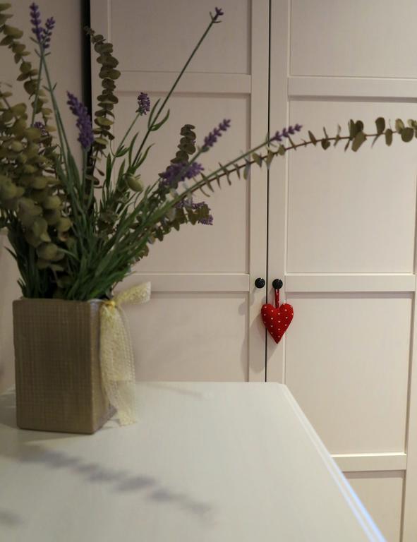 Apartment Sant Francesc Олот Екстер'єр фото